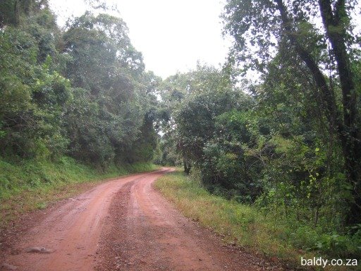 Forest Road in Limpopo, in the hills above Louis Trichardt